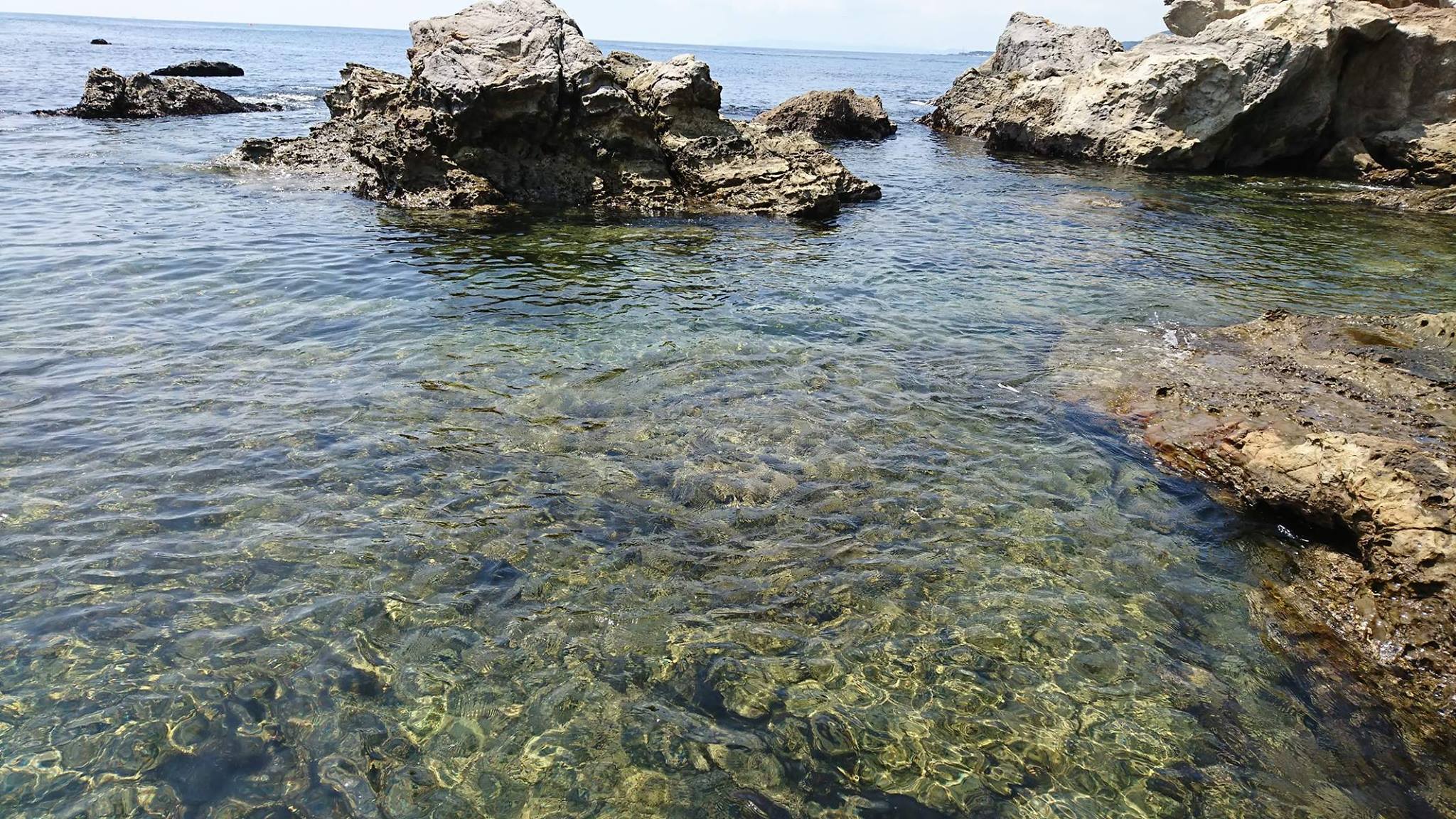 鴨川の仁右衛門島