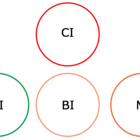 CI・MI・BI・VIとは