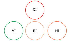 CI・MI・BI・VIとは