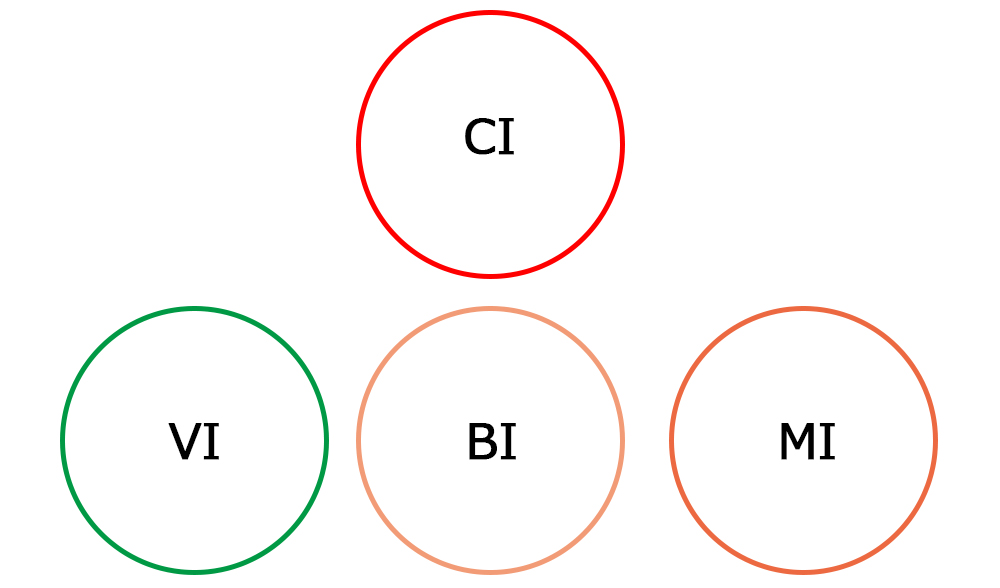 CI・MI・BI・VIとは